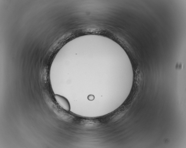 X0000112520597200909141225