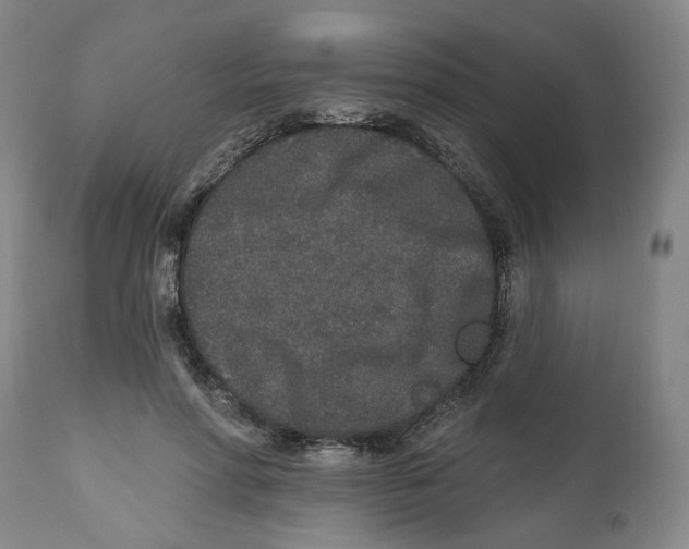 X0000112520598200909141225