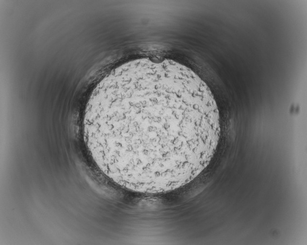 X0000112520599200909141225