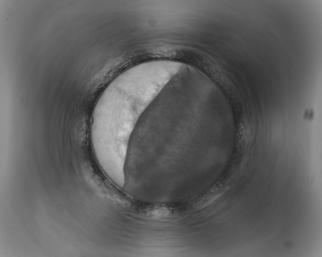 X0000112520600200909141225