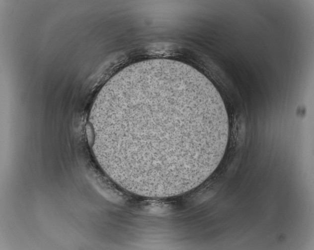 X0000112520601200909141225