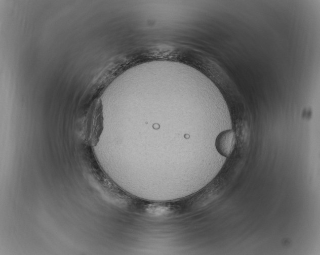 X0000112520602200909141225