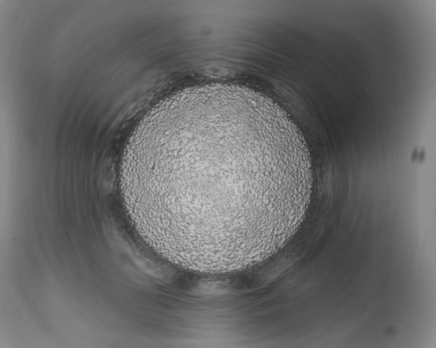 X0000112520606200909141225