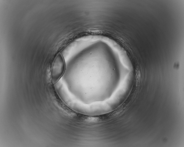 X0000112520609200909141225