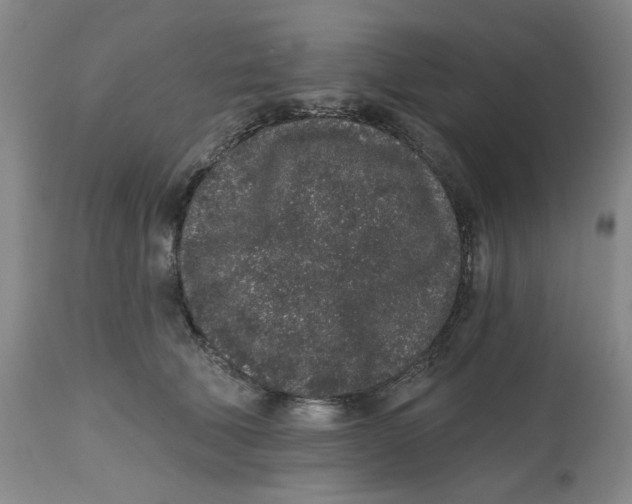 X0000112520610200909141225