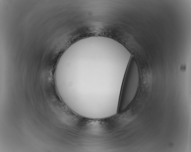 X0000112520611200909141225