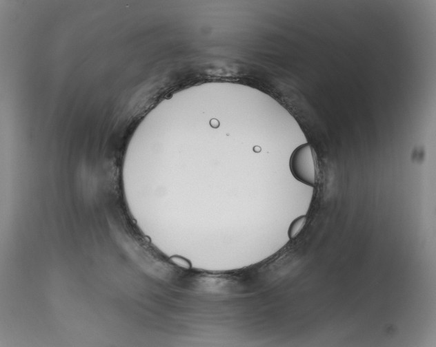 X0000112520614200909141225