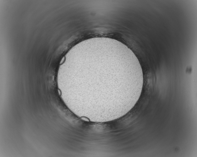 X0000112520615200909141225