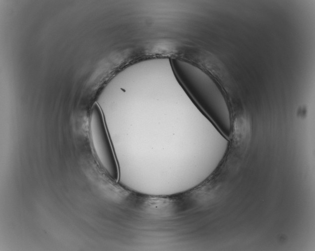 X0000112520617200909141225