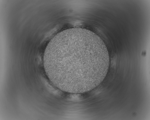 X0000112520618200909141225