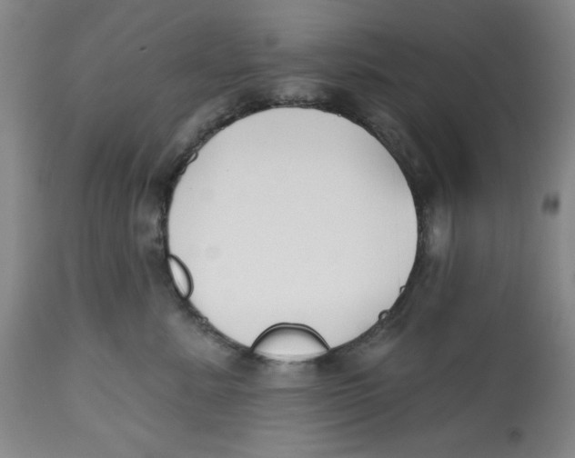 X0000112520619200909141225