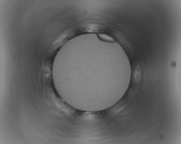 X0000112520620200909141225