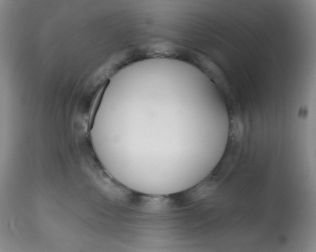 X0000112520621200909141225