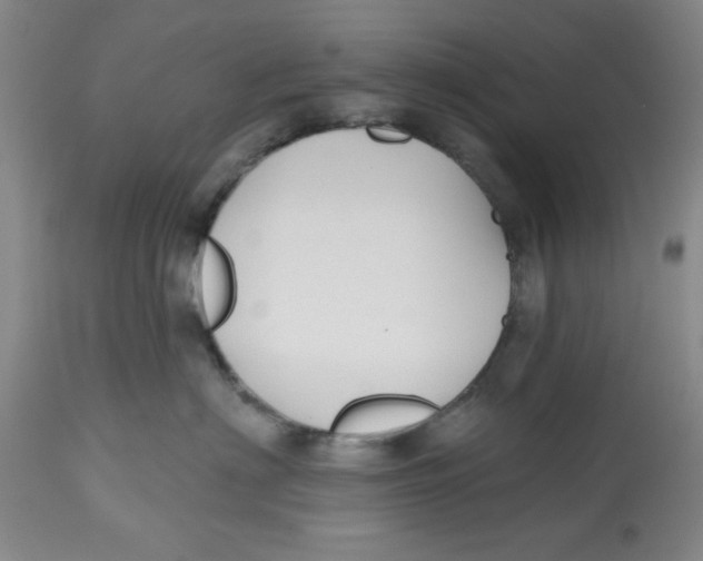 X0000112520622200909141225