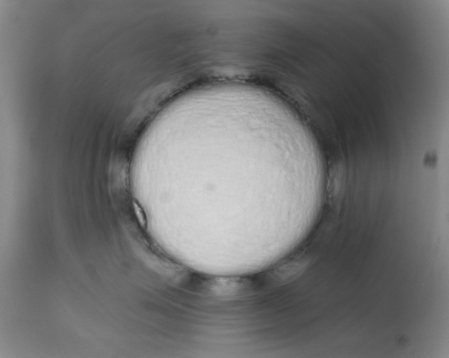 X0000112520623200909141224