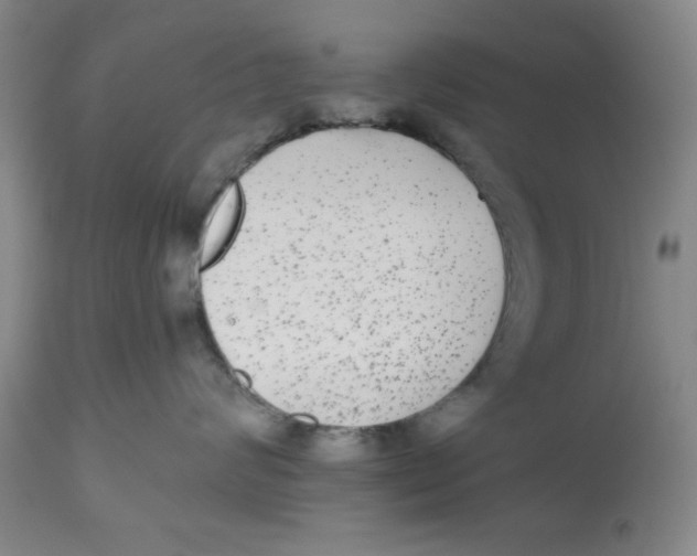 X0000112520624200909141224