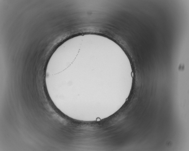 X0000112520625200909141224