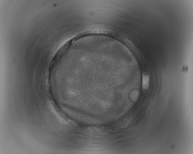 X0000112520627200909141224