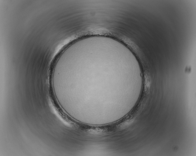 X0000112520630200909141224