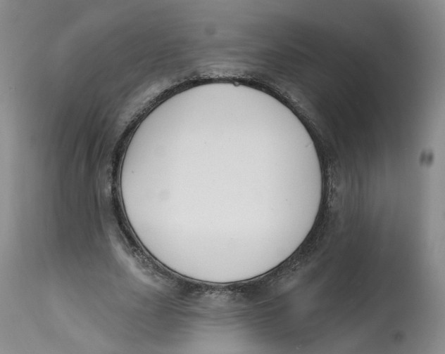 X0000112520631200909141224