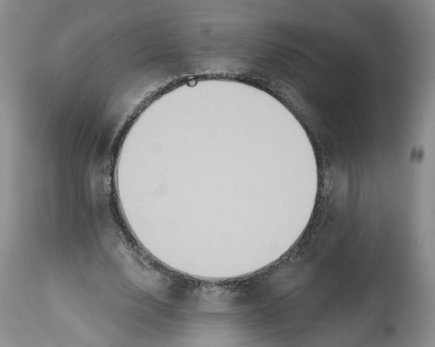 X0000112520632200909141224