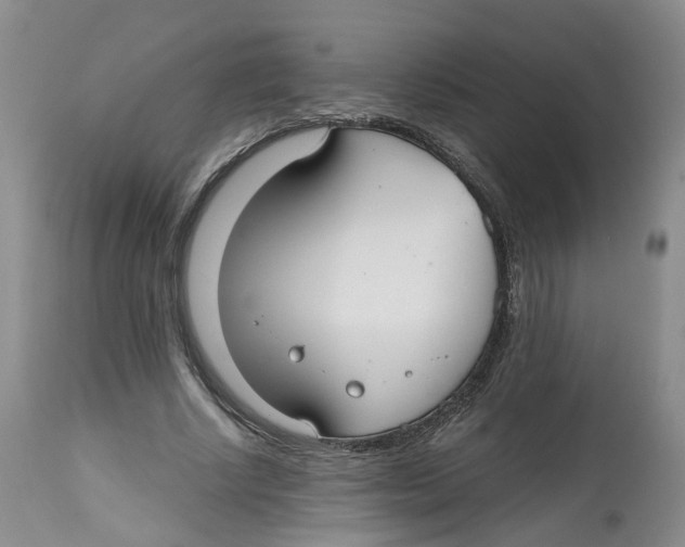 X0000112520634200909141224