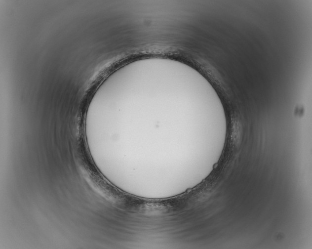 X0000112520636200909141224