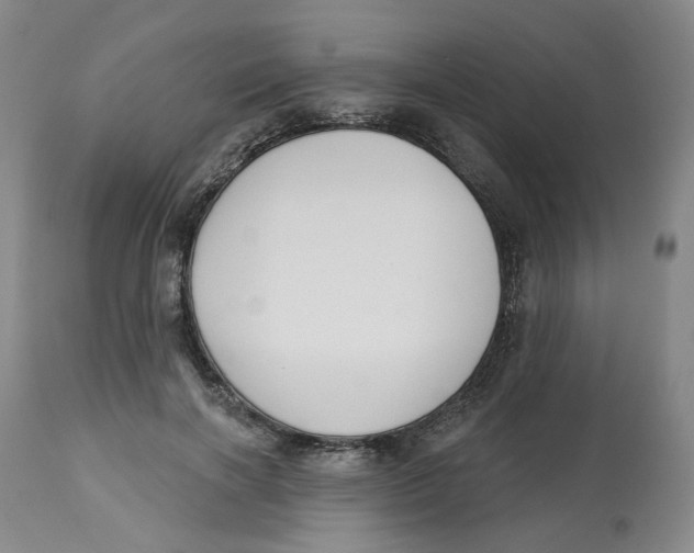 X0000112520646200909141224