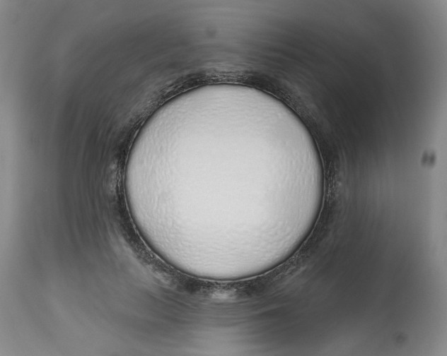 X0000112520647200909141224