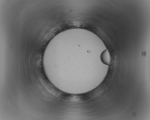 X0000112520656200909141224