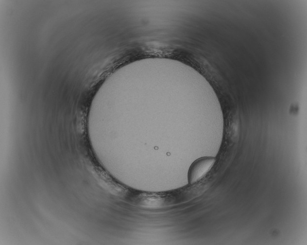 X0000112520658200909141224