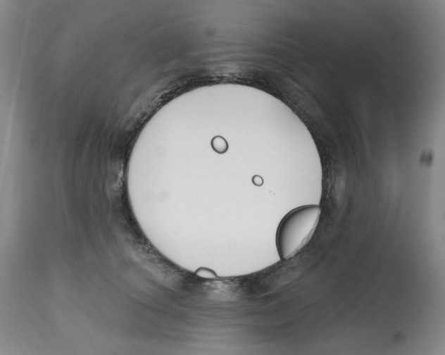 X0000112520660200909141224