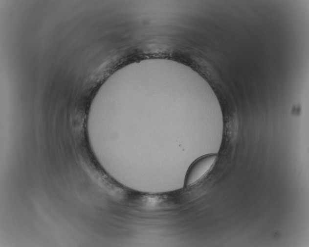 X0000112520662200909141224