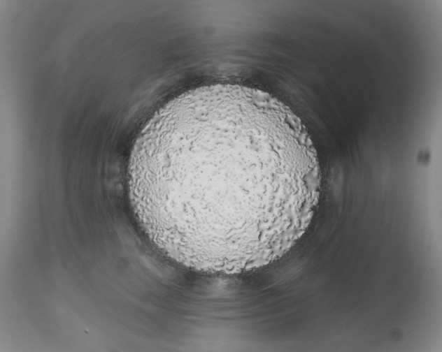 X0000112520663200909141224