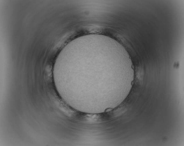 X0000112520667200909141224