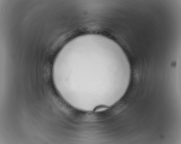 X0000112520668200909141224