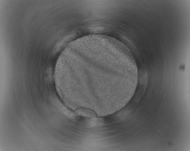 X0000112520670200909141224