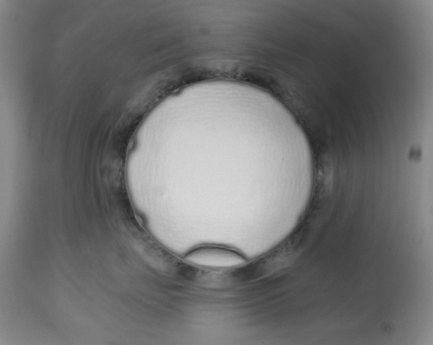 X0000112520671200909141224