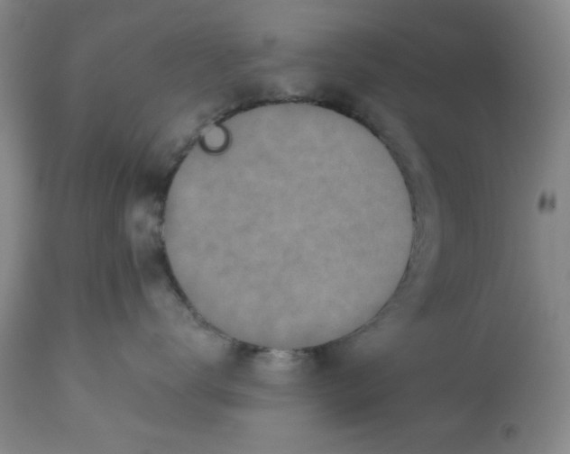 X0000112520672200909141224