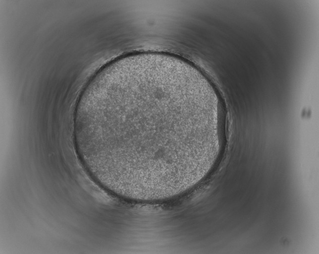 X0000112520673200909141224