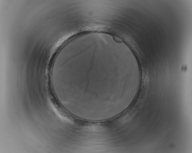 X0000112520674200909141224