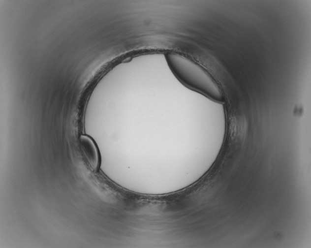 X0000112520676200909141224