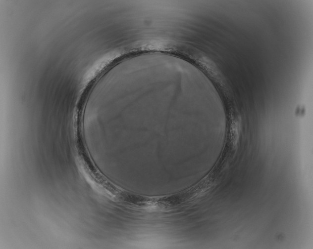 X0000112520678200909141224