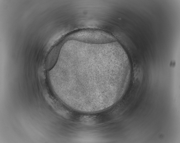 X0000112520680200909141224