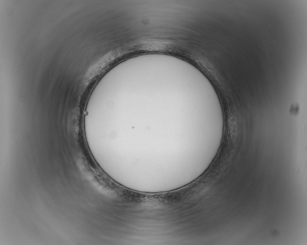 X0000112520682200909141224