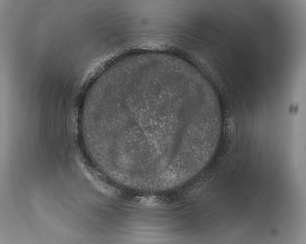 X0000112520688200909141223