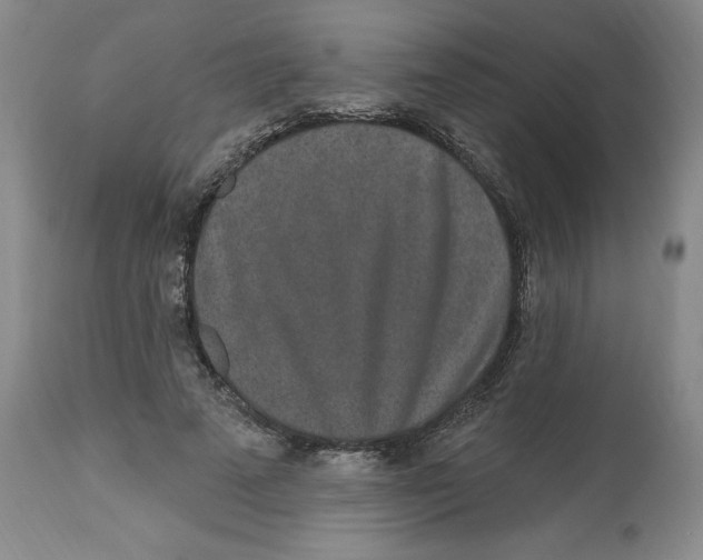 X0000112520689200909141223