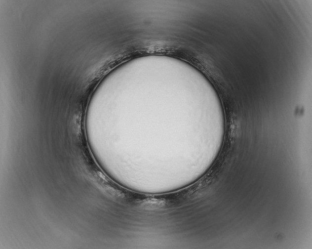 X0000112520691200909141223