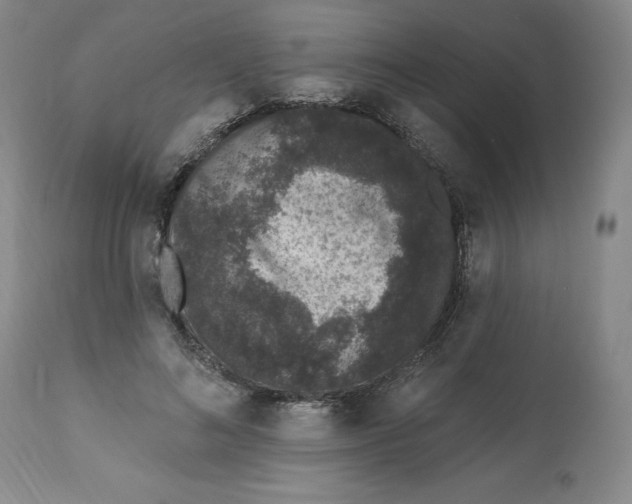 X0000112520692200909141223