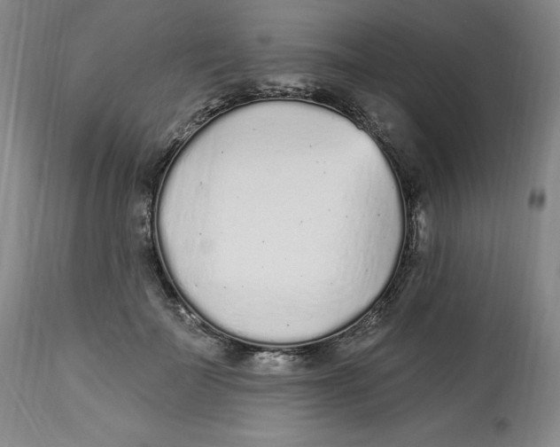 X0000112520699200909141223